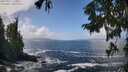 ./images/koeye/fitz-hugh/20250917/fitz-hugh20250917_123012M.jpg