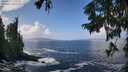 ./images/koeye/fitz-hugh/20250917/fitz-hugh20250917_123509M.jpg