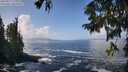 ./images/koeye/fitz-hugh/20250917/fitz-hugh20250917_124510M.jpg