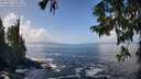 ./images/koeye/fitz-hugh/20250917/fitz-hugh20250917_125011M.jpg