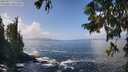./images/koeye/fitz-hugh/20250917/fitz-hugh20250917_125508M.jpg
