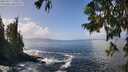 ./images/koeye/fitz-hugh/20250917/fitz-hugh20250917_130012M.jpg