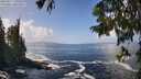 ./images/koeye/fitz-hugh/20250917/fitz-hugh20250917_130509M.jpg