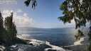 ./images/koeye/fitz-hugh/20250917/fitz-hugh20250917_131010M.jpg