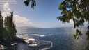 ./images/koeye/fitz-hugh/20250917/fitz-hugh20250917_131511M.jpg