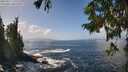 ./images/koeye/fitz-hugh/20250917/fitz-hugh20250917_132510M.jpg