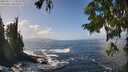 ./images/koeye/fitz-hugh/20250917/fitz-hugh20250917_133010M.jpg