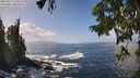 ./images/koeye/fitz-hugh/20250917/fitz-hugh20250917_133510M.jpg