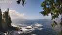 ./images/koeye/fitz-hugh/20250917/fitz-hugh20250917_134011M.jpg