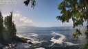 ./images/koeye/fitz-hugh/20250917/fitz-hugh20250917_134511M.jpg