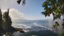./images/koeye/fitz-hugh/20250917/fitz-hugh20250917_135509M.jpg