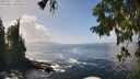 ./images/koeye/fitz-hugh/20250917/fitz-hugh20250917_140012M.jpg