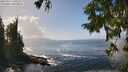 ./images/koeye/fitz-hugh/20250917/fitz-hugh20250917_140507M.jpg