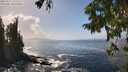 ./images/koeye/fitz-hugh/20250917/fitz-hugh20250917_141511M.jpg