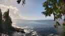 ./images/koeye/fitz-hugh/20250917/fitz-hugh20250917_142010M.jpg