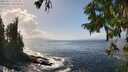 ./images/koeye/fitz-hugh/20250917/fitz-hugh20250917_142509M.jpg