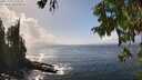 ./images/koeye/fitz-hugh/20250917/fitz-hugh20250917_143510M.jpg