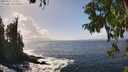 ./images/koeye/fitz-hugh/20250917/fitz-hugh20250917_144011M.jpg