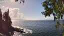 ./images/koeye/fitz-hugh/20250917/fitz-hugh20250917_145010M.jpg