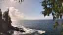 ./images/koeye/fitz-hugh/20250917/fitz-hugh20250917_145509M.jpg
