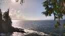 ./images/koeye/fitz-hugh/20250917/fitz-hugh20250917_151511M.jpg