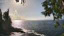 ./images/koeye/fitz-hugh/20250917/fitz-hugh20250917_154011M.jpg