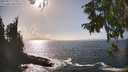 ./images/koeye/fitz-hugh/20250917/fitz-hugh20250917_155011M.jpg