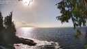 ./images/koeye/fitz-hugh/20250917/fitz-hugh20250917_155510M.jpg