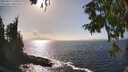 ./images/koeye/fitz-hugh/20250917/fitz-hugh20250917_160010M.jpg