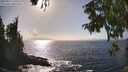 ./images/koeye/fitz-hugh/20250917/fitz-hugh20250917_160510M.jpg