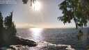 ./images/koeye/fitz-hugh/20250917/fitz-hugh20250917_164011M.jpg