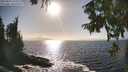 ./images/koeye/fitz-hugh/20250917/fitz-hugh20250917_164511M.jpg