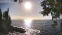 ./images/koeye/fitz-hugh/20250917/fitz-hugh20250917_170011M.jpg