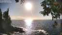 ./images/koeye/fitz-hugh/20250917/fitz-hugh20250917_170510M.jpg