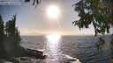 ./images/koeye/fitz-hugh/20250917/fitz-hugh20250917_171011M.jpg