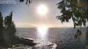 ./images/koeye/fitz-hugh/20250917/fitz-hugh20250917_171511M.jpg