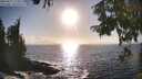 ./images/koeye/fitz-hugh/20250917/fitz-hugh20250917_172011M.jpg