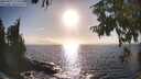 ./images/koeye/fitz-hugh/20250917/fitz-hugh20250917_172508M.jpg