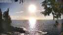 ./images/koeye/fitz-hugh/20250917/fitz-hugh20250917_173012M.jpg
