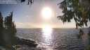 ./images/koeye/fitz-hugh/20250917/fitz-hugh20250917_173508M.jpg