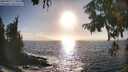 ./images/koeye/fitz-hugh/20250917/fitz-hugh20250917_174010M.jpg