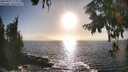 ./images/koeye/fitz-hugh/20250917/fitz-hugh20250917_174510M.jpg