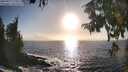 ./images/koeye/fitz-hugh/20250917/fitz-hugh20250917_175012M.jpg