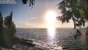 ./images/koeye/fitz-hugh/20250917/fitz-hugh20250917_180508M.jpg