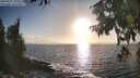 ./images/koeye/fitz-hugh/20250917/fitz-hugh20250917_181010M.jpg