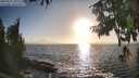 ./images/koeye/fitz-hugh/20250917/fitz-hugh20250917_181510M.jpg