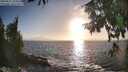./images/koeye/fitz-hugh/20250917/fitz-hugh20250917_182011M.jpg