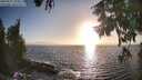 ./images/koeye/fitz-hugh/20250917/fitz-hugh20250917_183011M.jpg