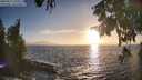 ./images/koeye/fitz-hugh/20250917/fitz-hugh20250917_184512M.jpg