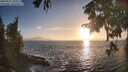 ./images/koeye/fitz-hugh/20250917/fitz-hugh20250917_185011M.jpg